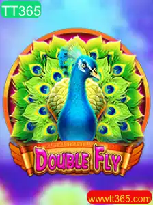 Explorando o Universo de DoubleFly: Um Guia Completo com Regras e Estratégias